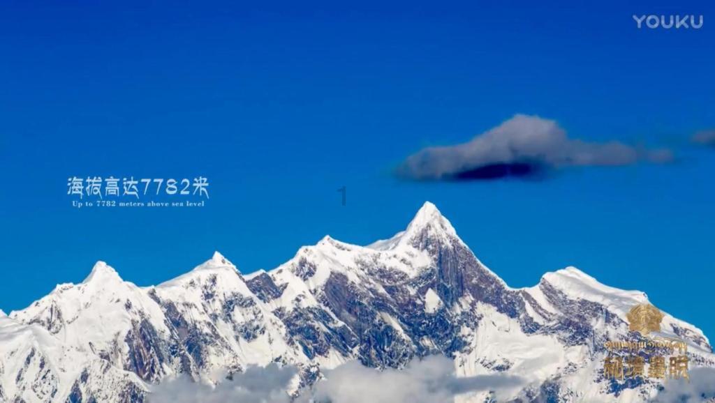落水狗血战日