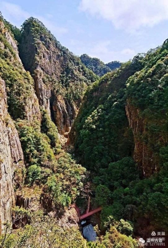 小兔子大冒险