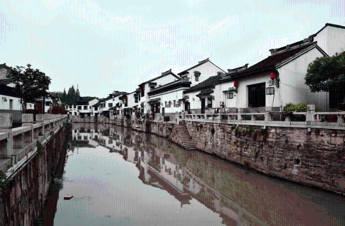 点亮兰卡 携手未来——第七届进博会座谈会在斯里兰卡举办